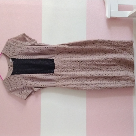 New York and Company Taupe Mixed Lace Sheath Dress - Picture 2 of 7